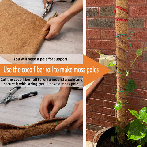 Biotolot pet pad liner for reptile enclosures with durable, moisture-friendly surface.