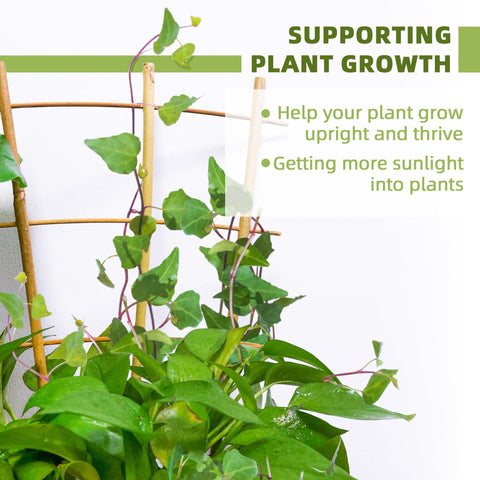 Biotolot ladder-style trellis installs easily for potted plants.