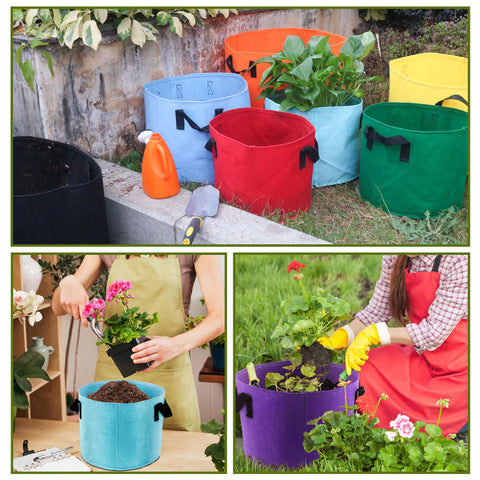 Biotolot versatile bags suitable for vegetables, flowers, and herbs in any space.