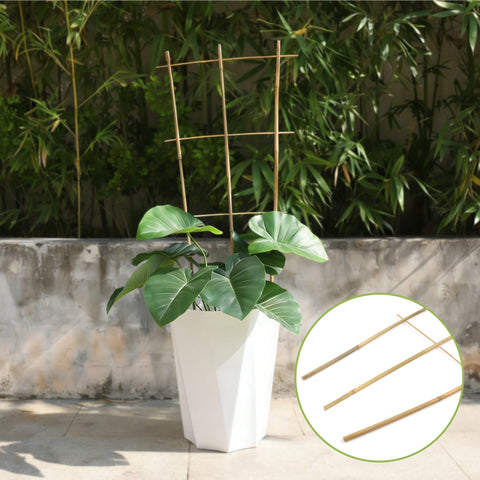 Biotolot eco-friendly garden accessory ships ready for simple assembly.