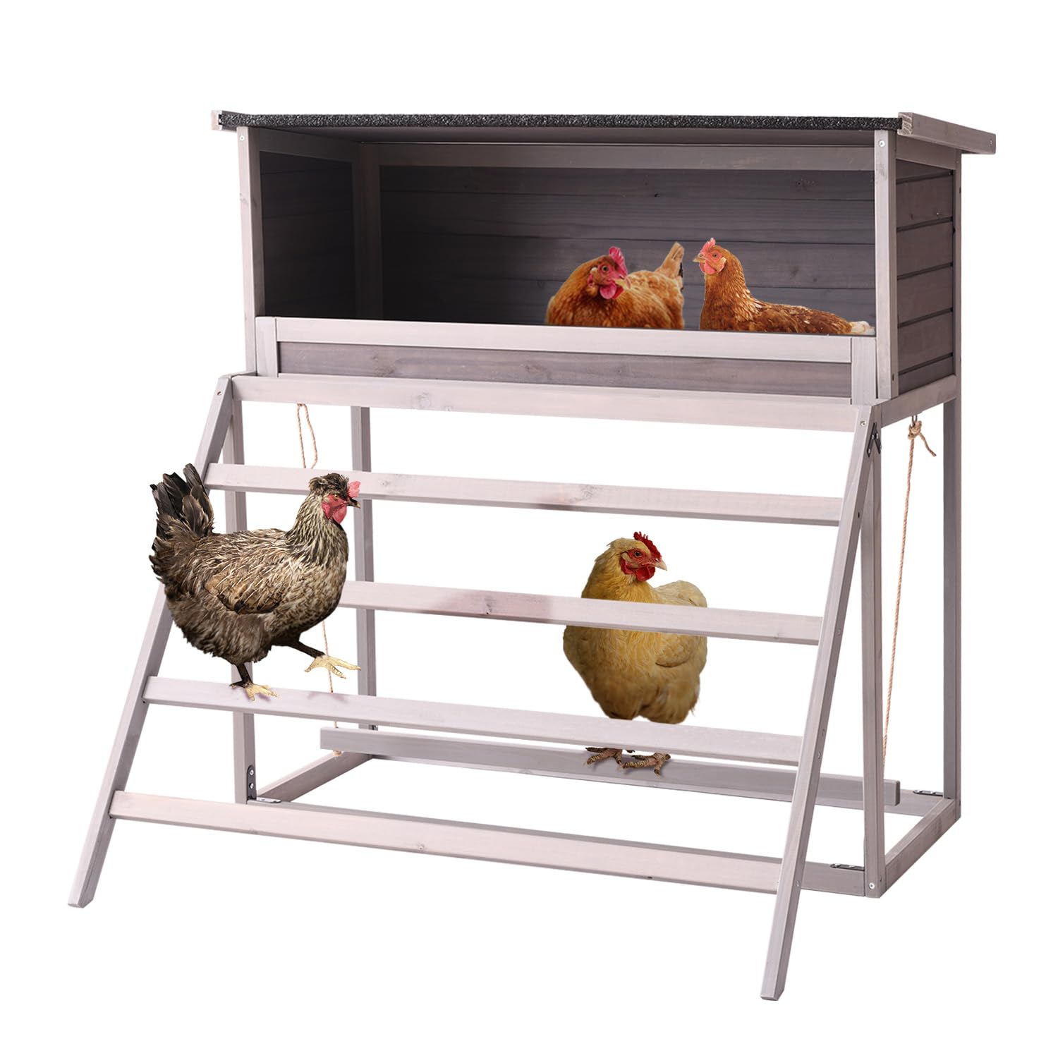 BIRASIL chicken nesting box with roof protects eggs from rain and sun.