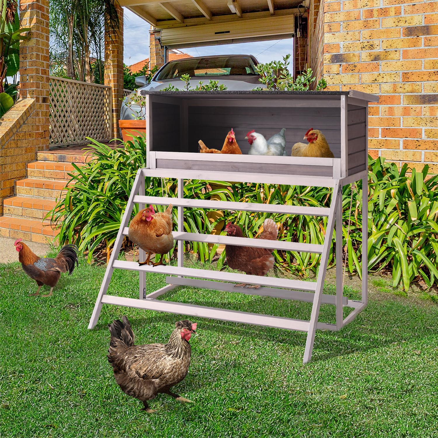 BIRASIL large-flock nesting box designed for busy chicken houses.