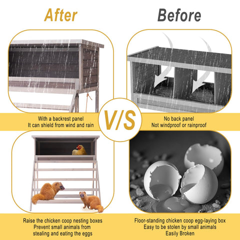 BIRASIL 3-bay interior offers spacious compartments for large hens.