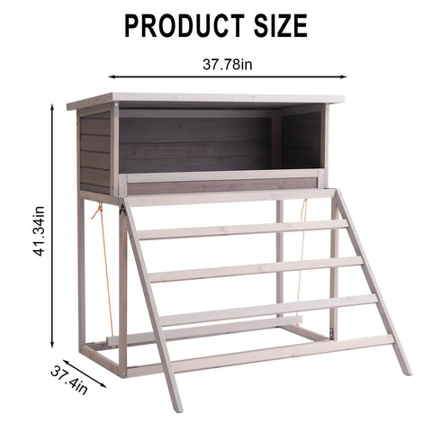 BIRASIL nesting box dimensions show ample space for large flocks.