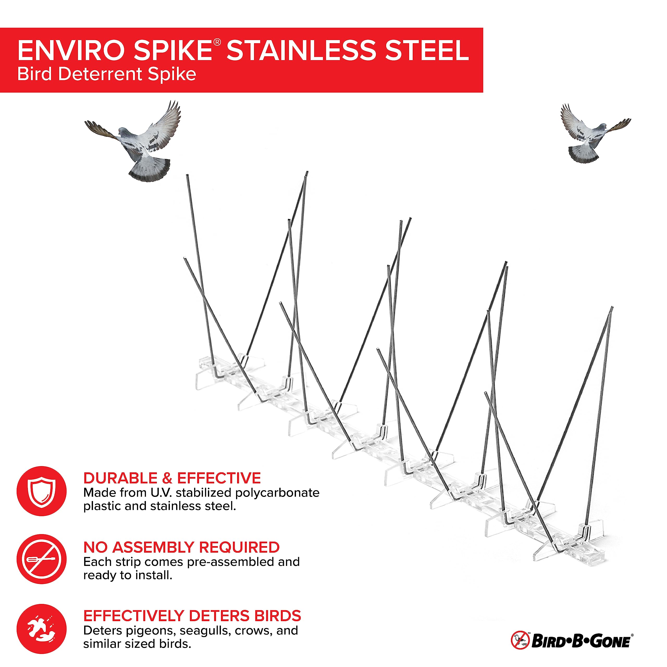 Spikes installed on ledges protect windowsills from droppings