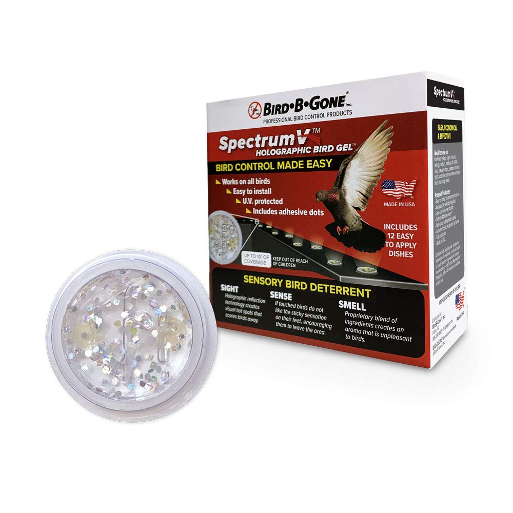 Bird B Gone SpectrumV holographic gel dish setup deters birds with tri-sensory cues