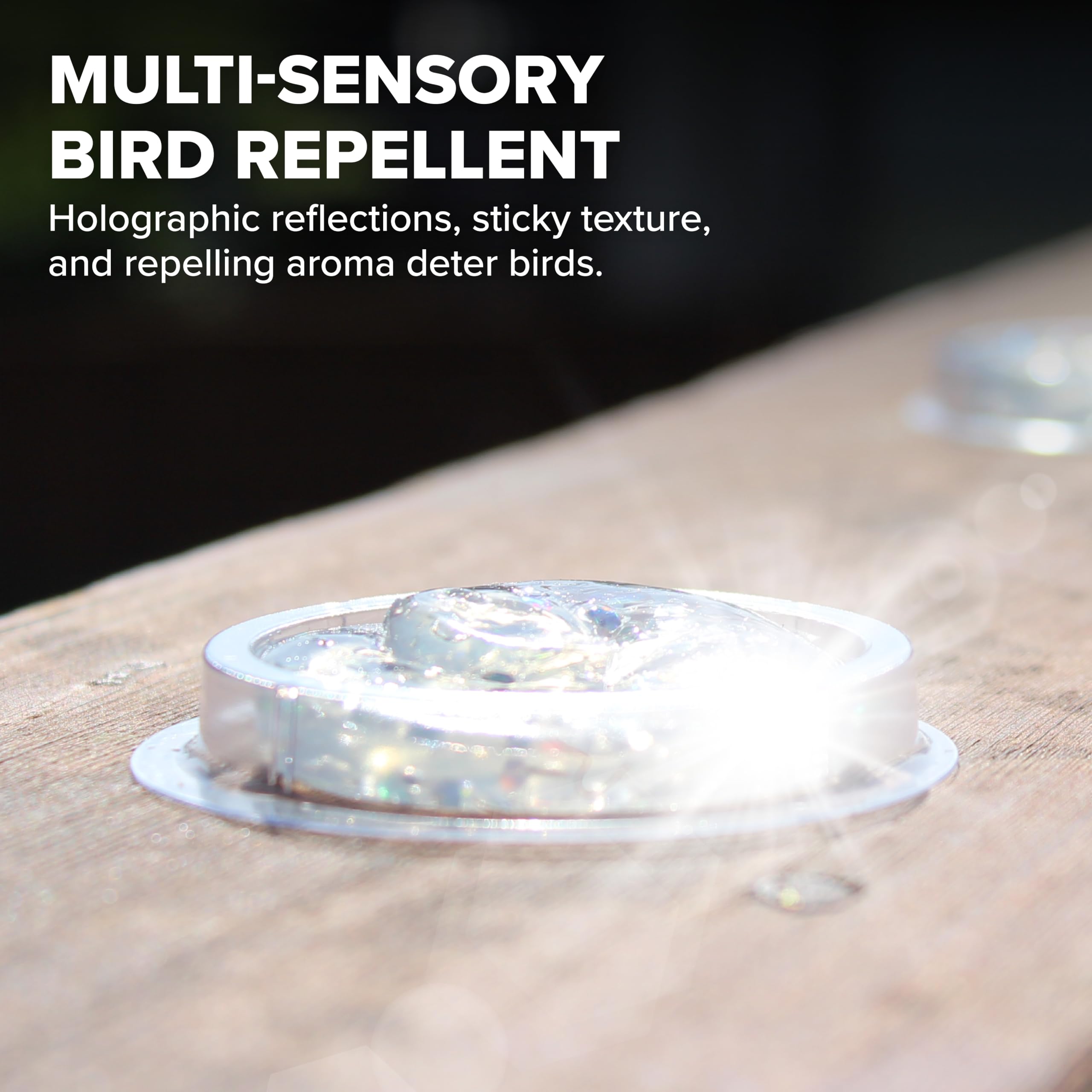 Bird B Gone SpectrumV gel on a ledge protects edges from roosting birds