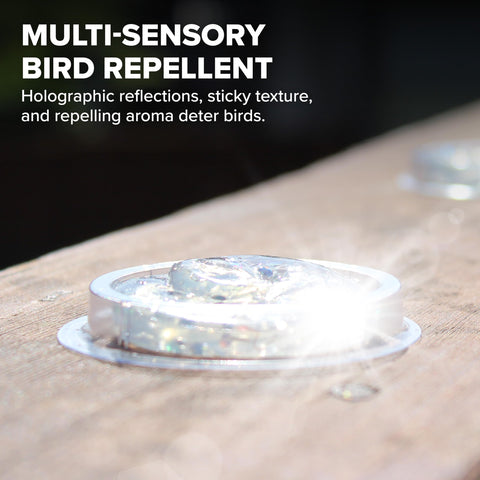 Bird B Gone SpectrumV gel on a ledge protects edges from roosting birds
