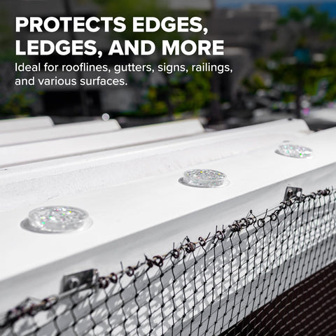 Bird B Gone SpectrumV holographic gel on a rooftop provides humane deterrence