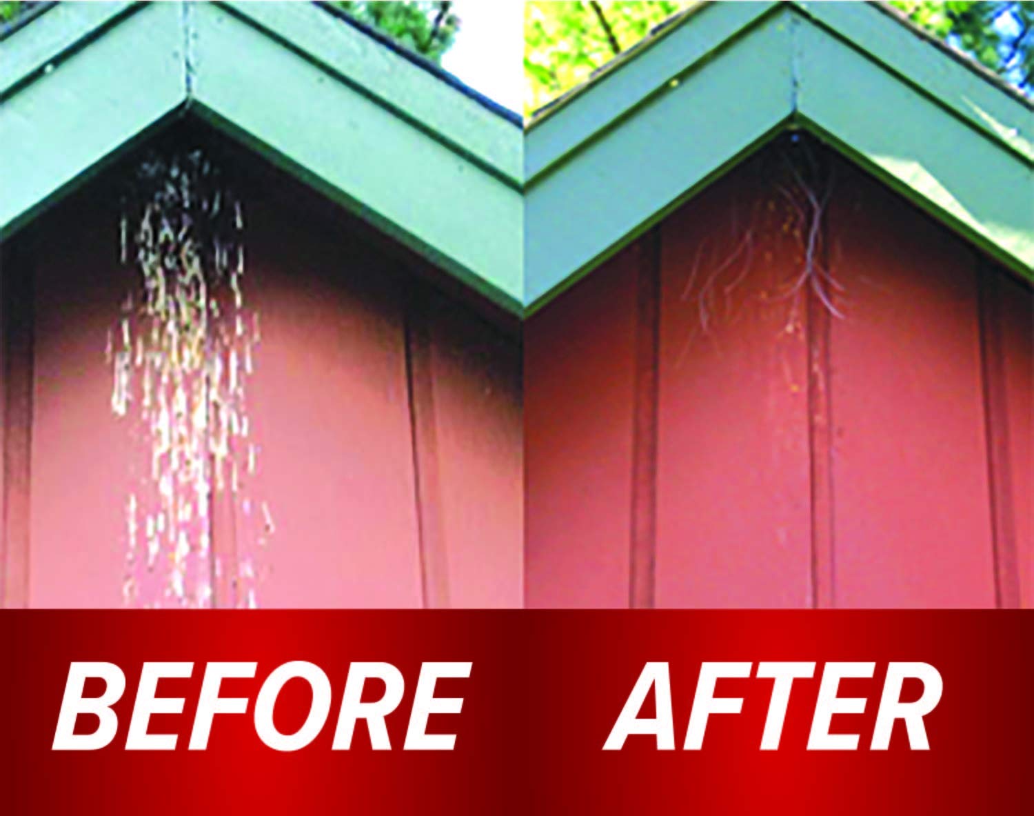 Swallow Shield peel-and-stick installation on clean eaves without tools.