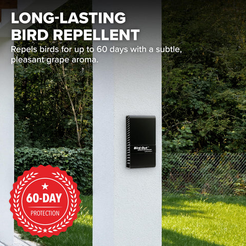 Wall mounted Bird-Out dispenser blends discreetly with exteriors for subtle use.