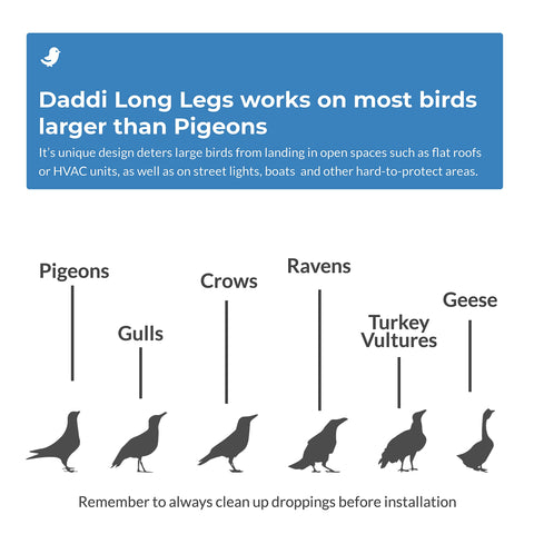 Bird Barrier Daddi Long Legs 4ft durable stainless design withstands outdoor exposure.