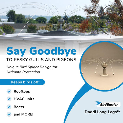 Bird Barrier Daddi Long Legs rooftop deterrent with blunt tips protects surfaces safely.