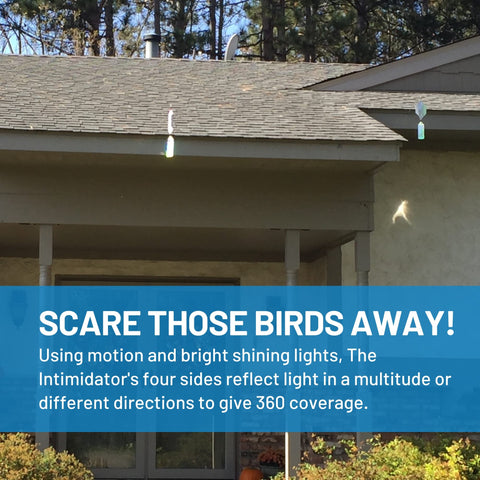 Bird Barrier The Intimidator pairs well with optical gel for added deterrence.