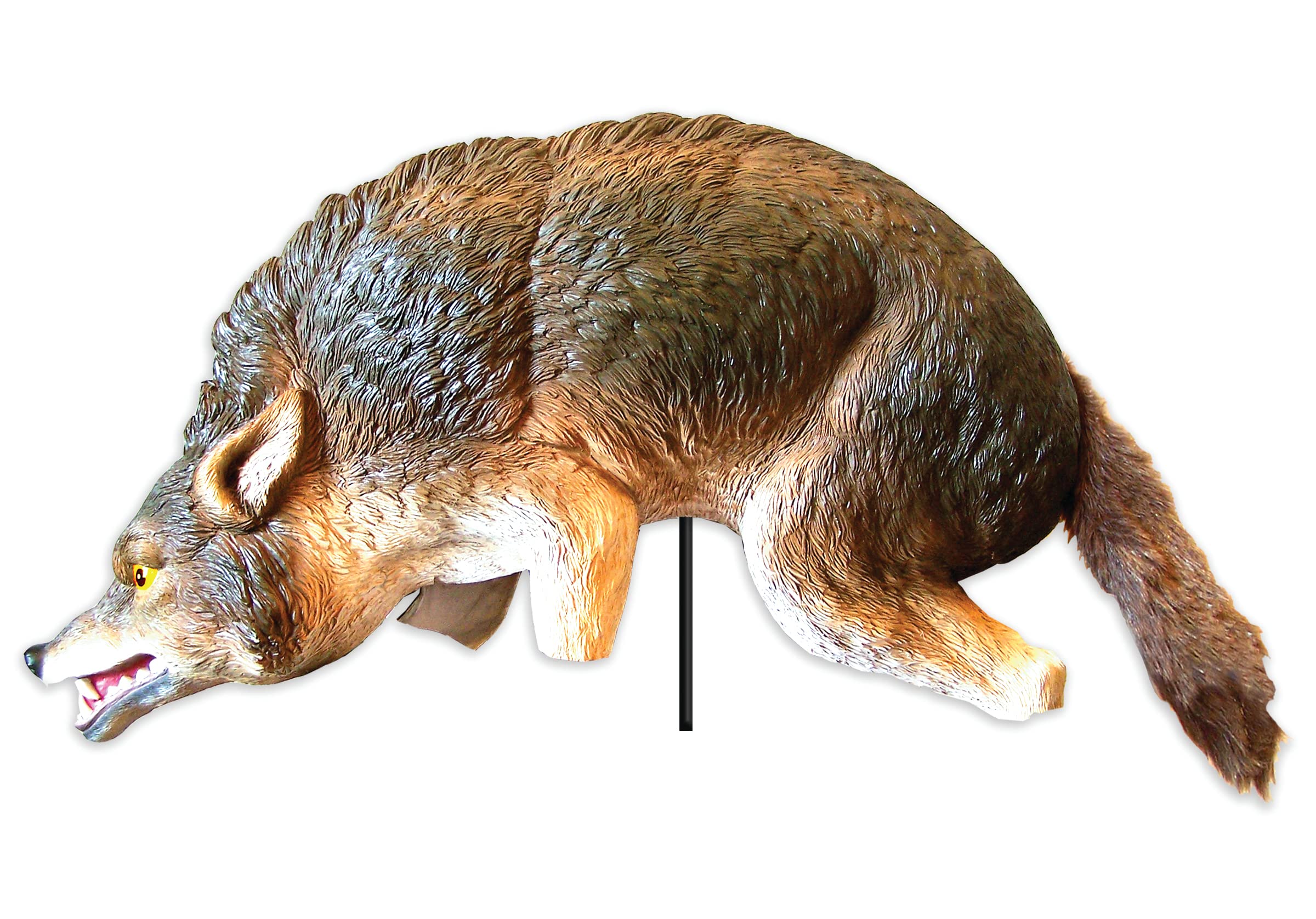 Bird-X 3D Coyote Decoy stake seen from all angles to deter birds.