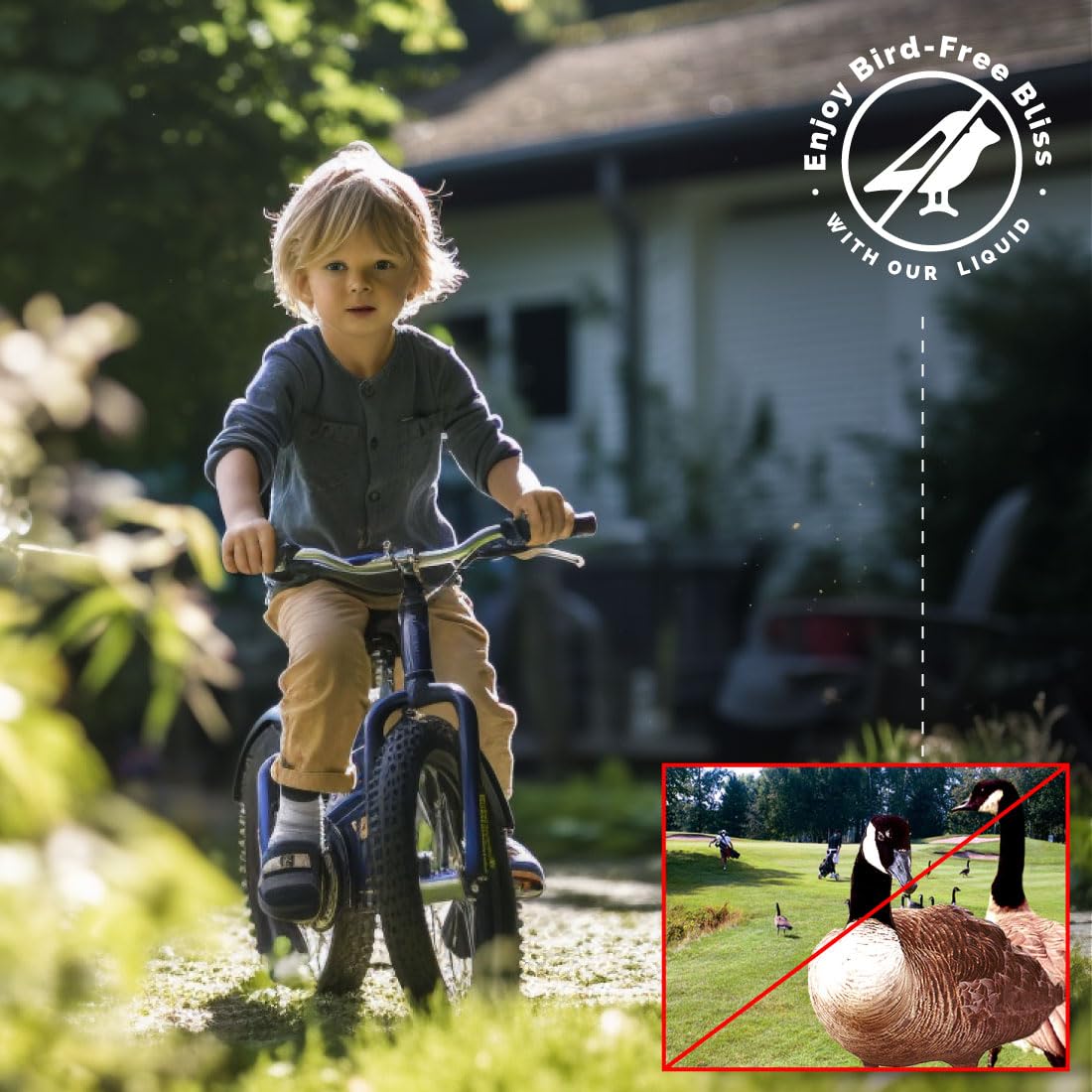 Bird-X Bird Stop Liquid protects crops by deterring birds from treated areas.