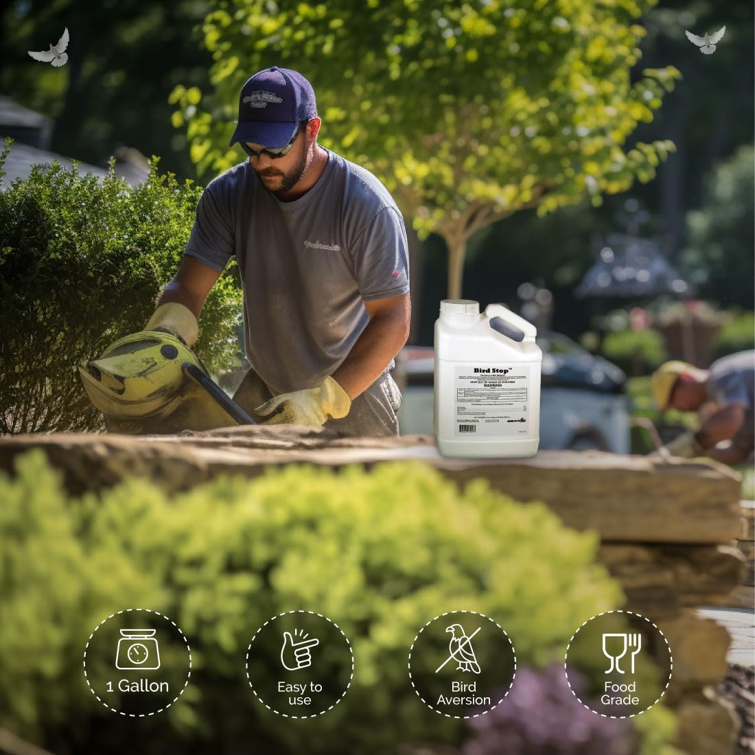 Bird-X Bird Stop Liquid applied to rooftops prevents bird droppings.
