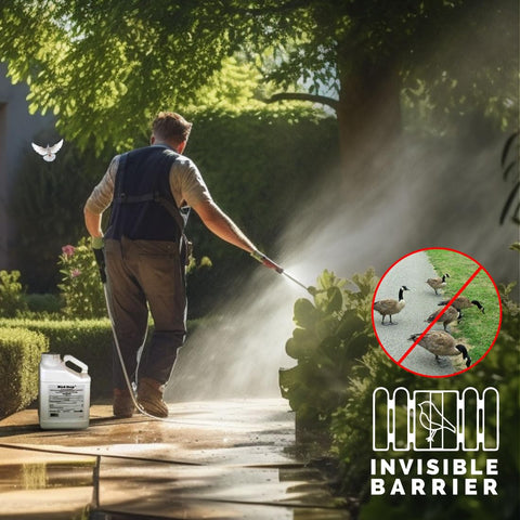 Bird-X Bird Stop Liquid spray application reduces bird activity on surfaces.