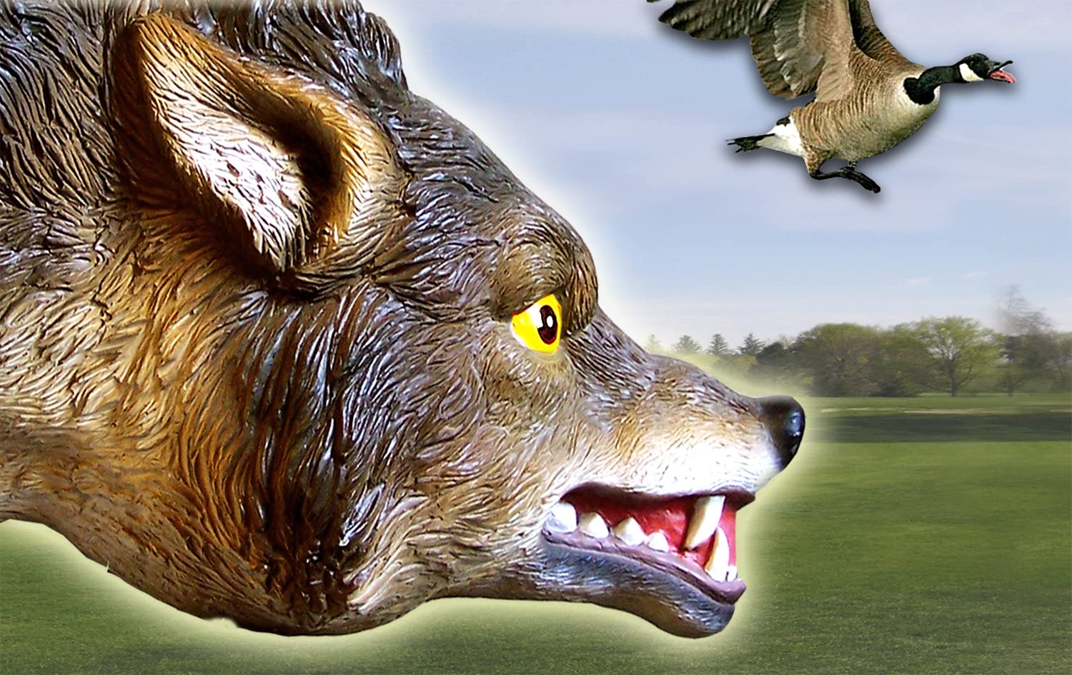 Bird-X easy-install coyote decoy stake simplifies setup.