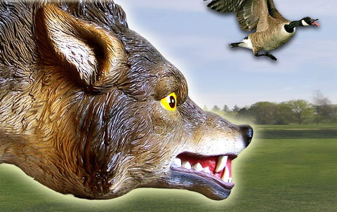 Bird-X easy-install coyote decoy stake simplifies setup.
