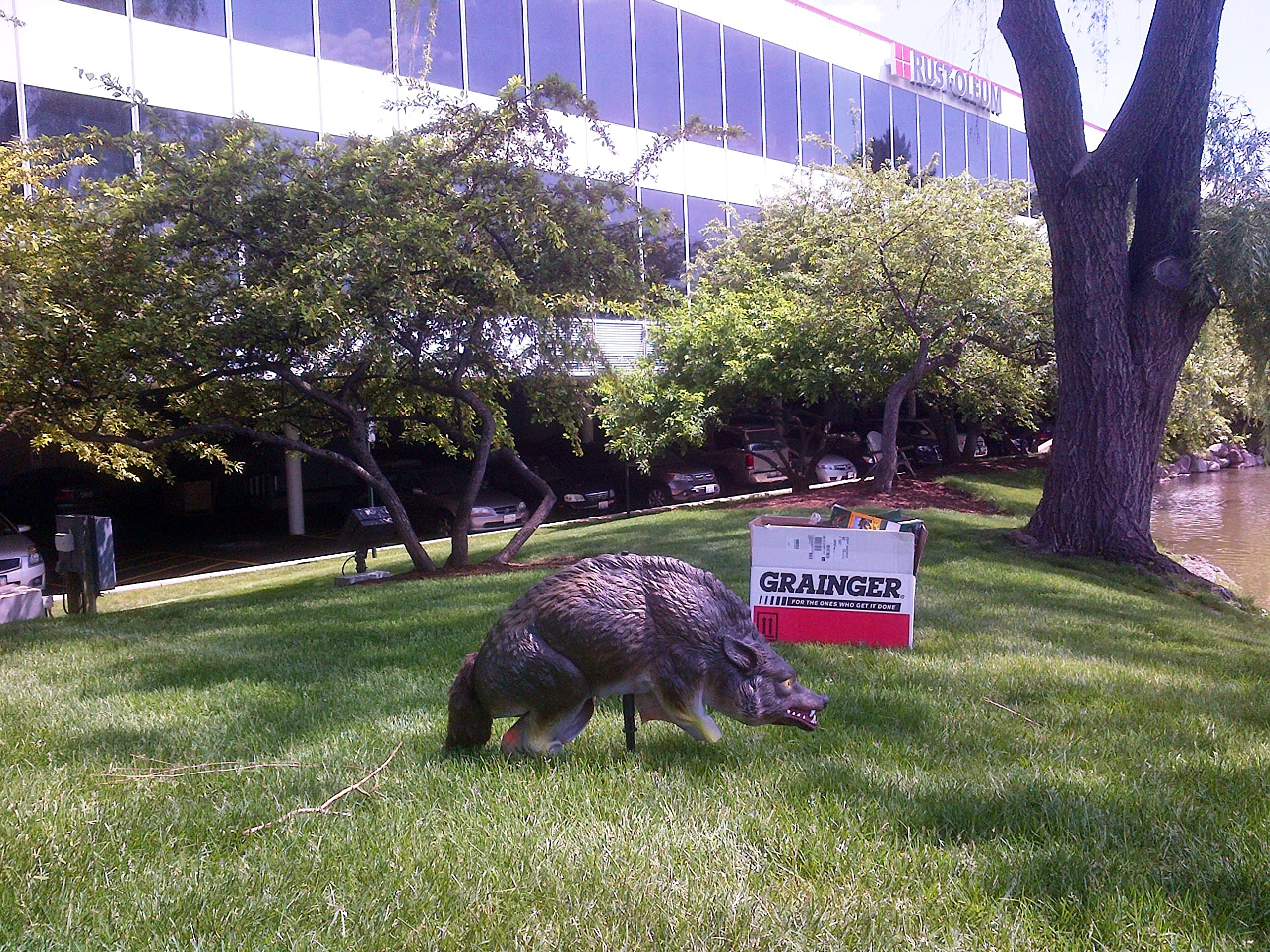 Bird-X ideal for outdoor pest control on large properties.