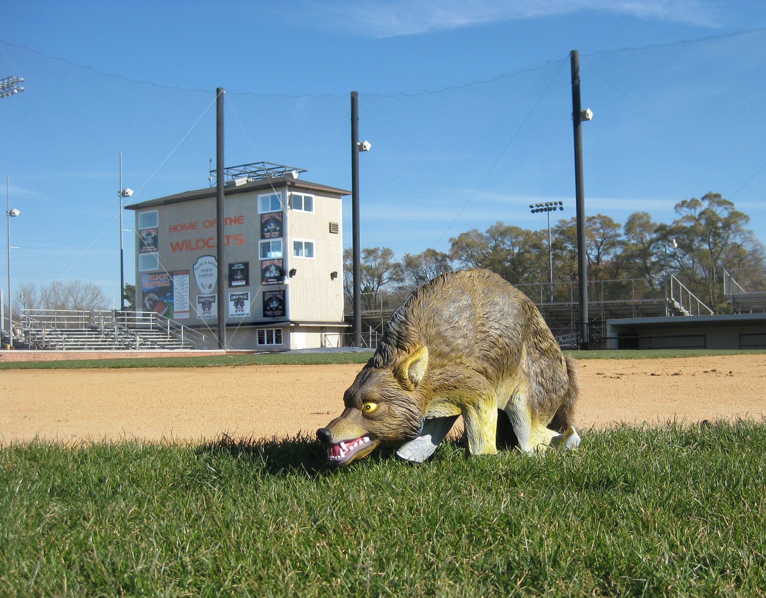 Bird-X realistic coyote markings enhance outdoor deterrence.