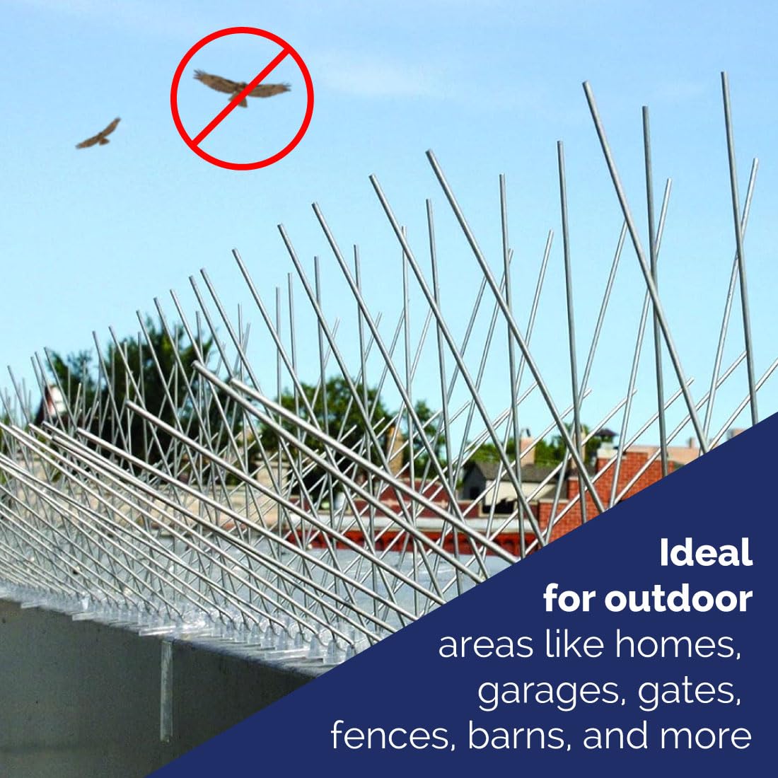 Bird-X spikes keep surfaces clean by preventing droppings.