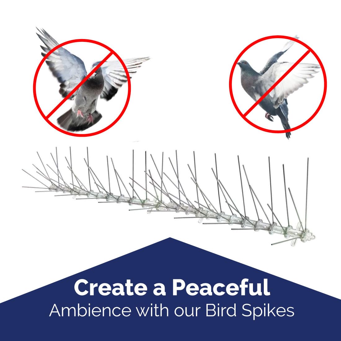 Bird-X spikes installed on windowsills and rooftops for deterrence.