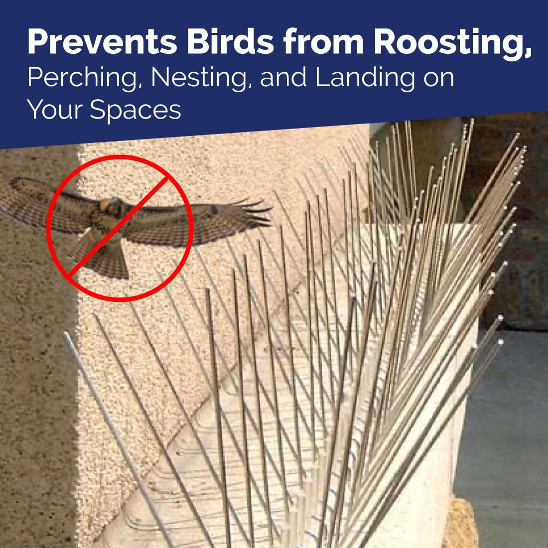 Bird-X stainless steel barrier offers humane, low-maintenance deterrence.