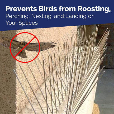 Bird-X stainless steel barrier offers humane, low-maintenance deterrence.