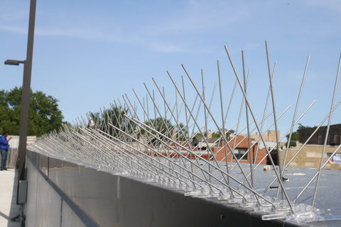 Bird-X STS-24 installation-ready spikes show easy mounting on ledges.