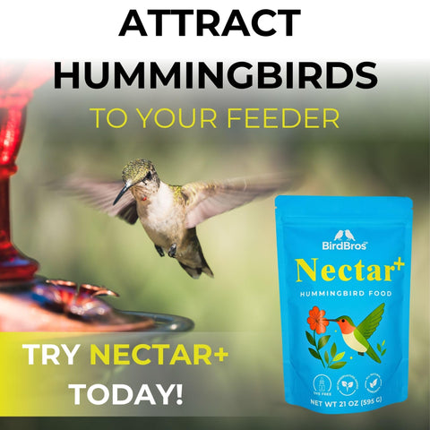 BirdBros Nectar+ small-batch production ensures quality
