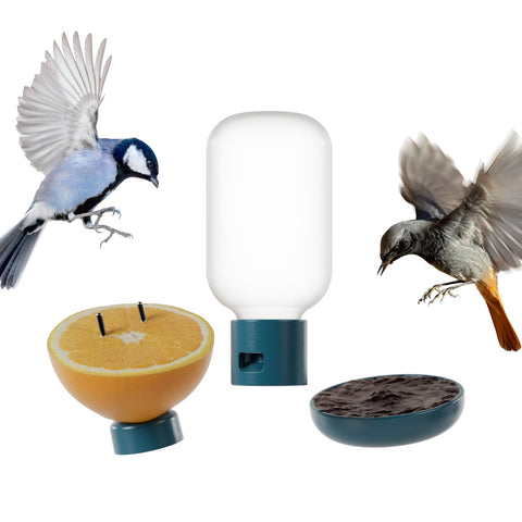 Birdbuddy 3-in-1 water fountain view with clear level for easy refills.