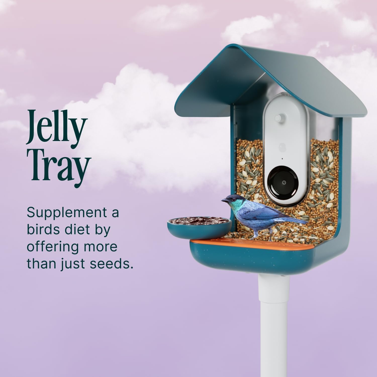 Birdbuddy 3-in-1 feeder attachment demonstrates simple installation on your Birdbuddy.