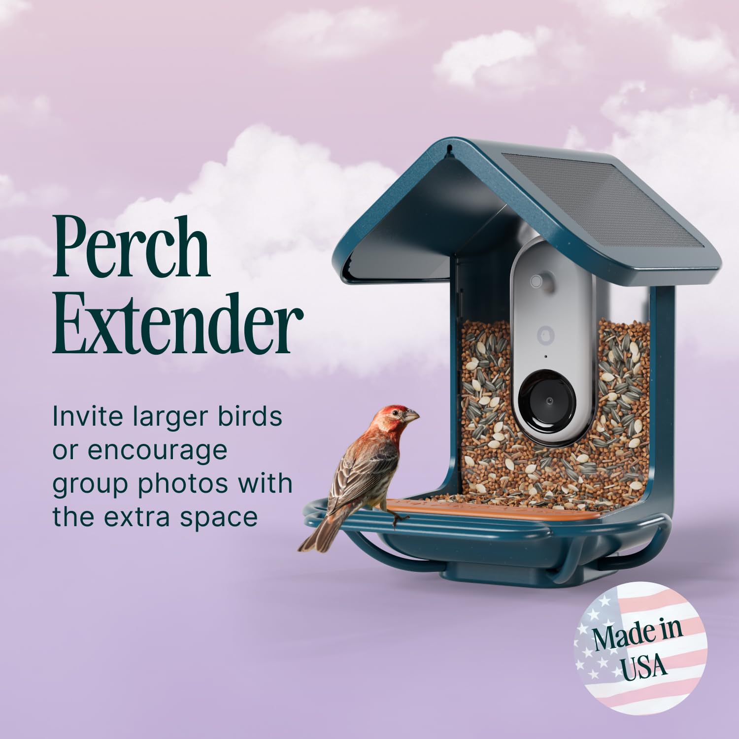 Bird Buddy blue perch extender mounted on pole for easy upgrade