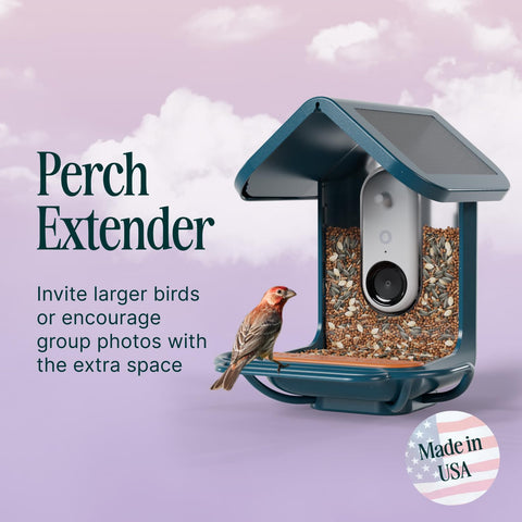 Bird Buddy blue perch extender mounted on pole for easy upgrade