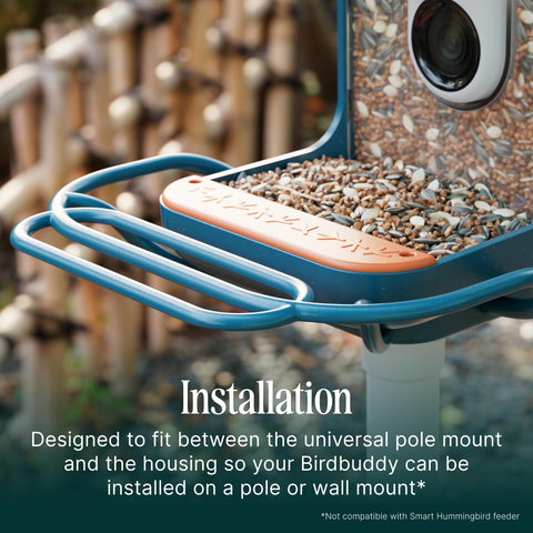Bird Buddy blue perch extender showing multiple perches for group birds