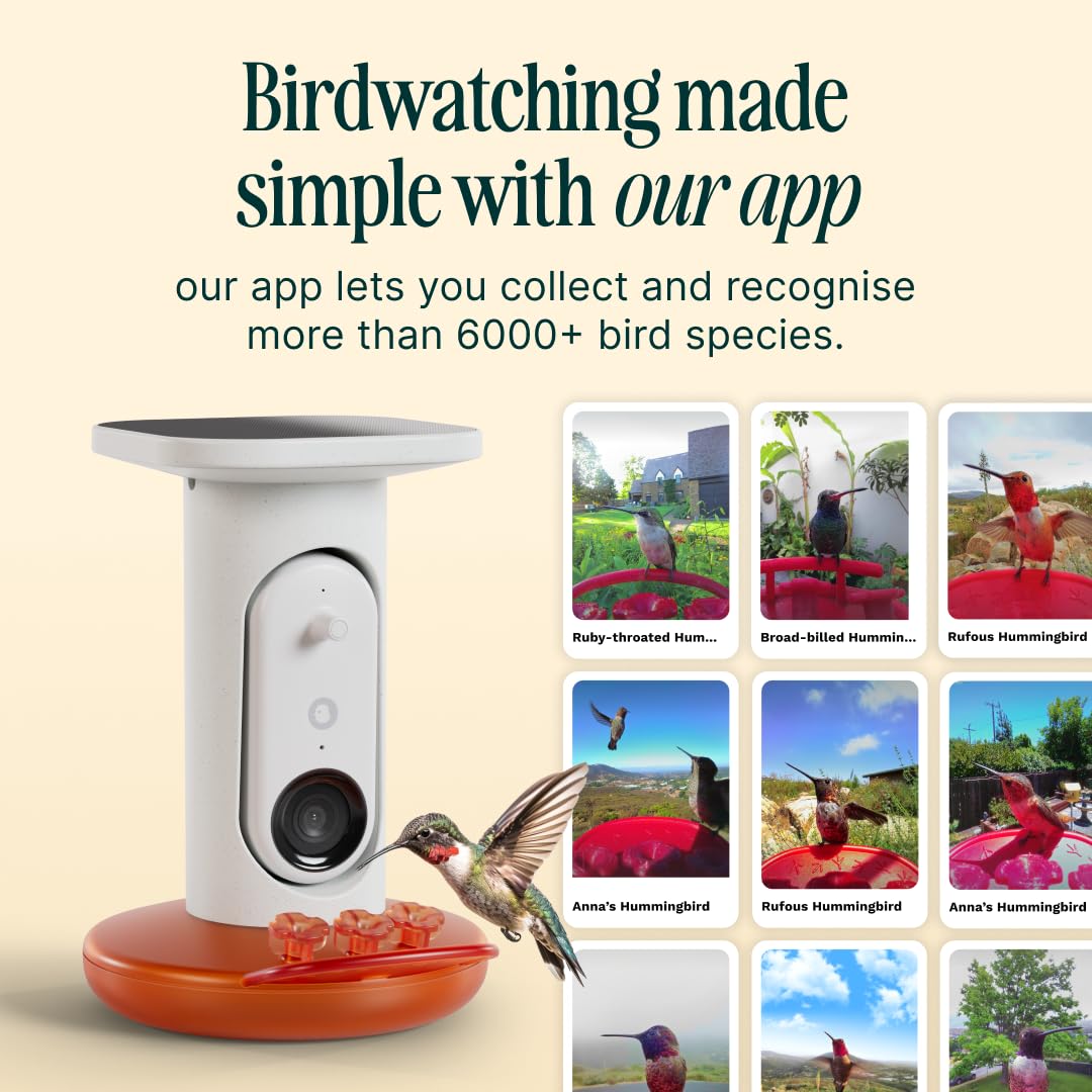Birdbuddy hanging mount and feeder ready for garden
