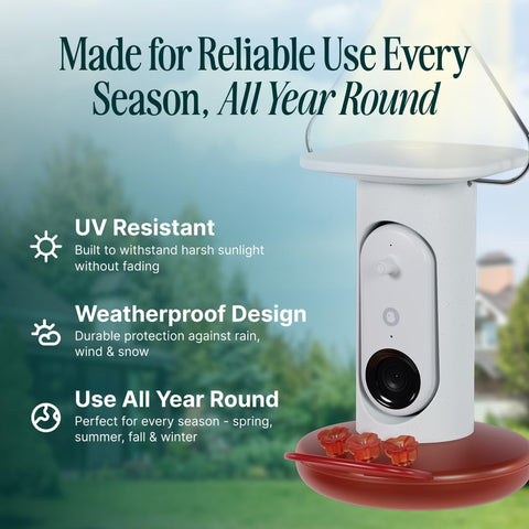 Birdbuddy live stream view in action during daylight