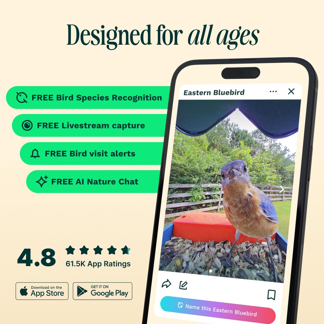 BirdBuddy Pro captures 2K video resolution with smooth detail.