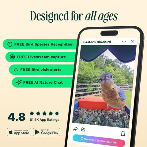 BirdBuddy Pro captures 2K video resolution with smooth detail.