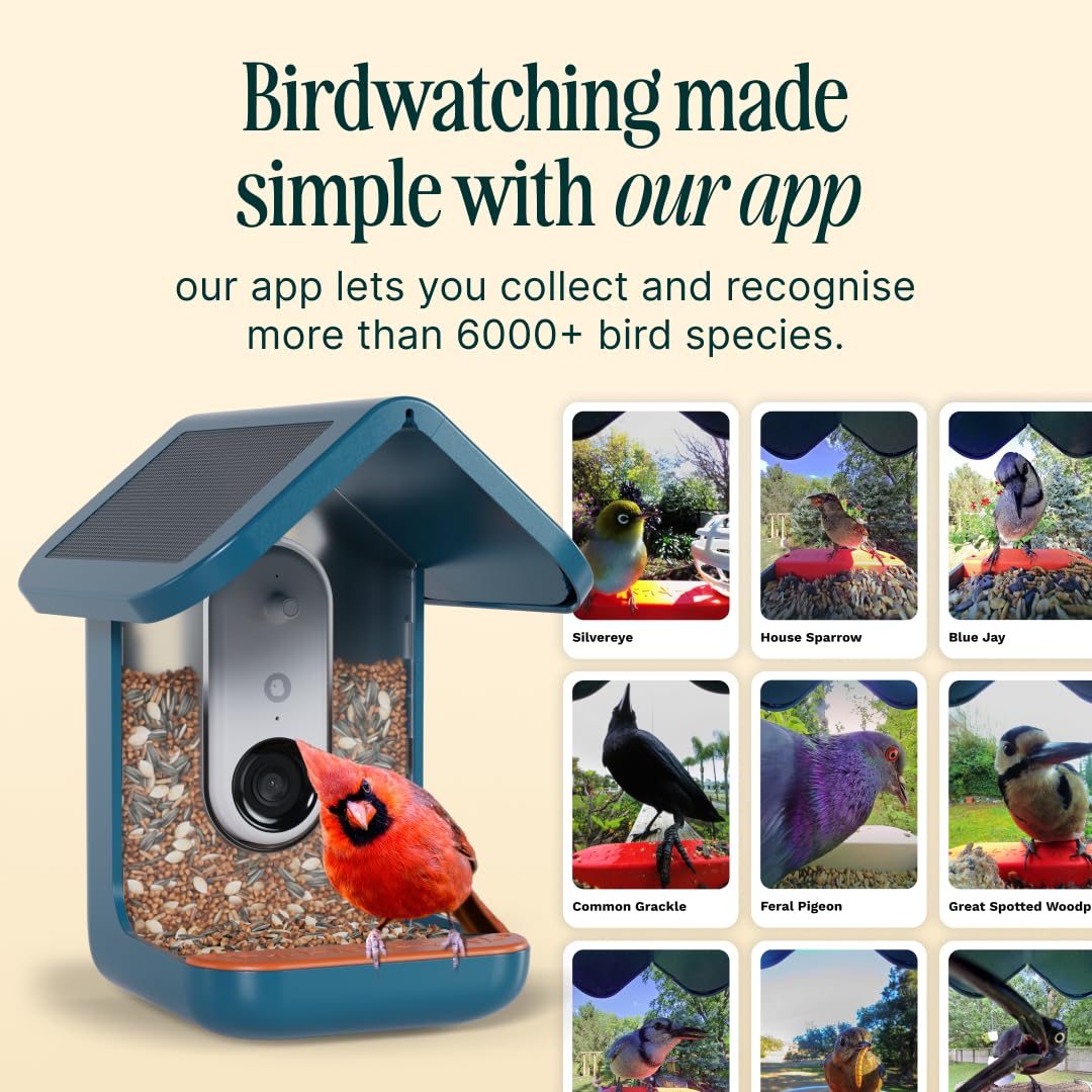 BirdBuddy Pro AI identification recognizes species from feeder footage.