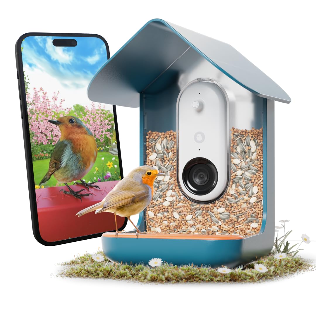 BirdBuddy Pro camera live stream for real-time backyard bird activity.