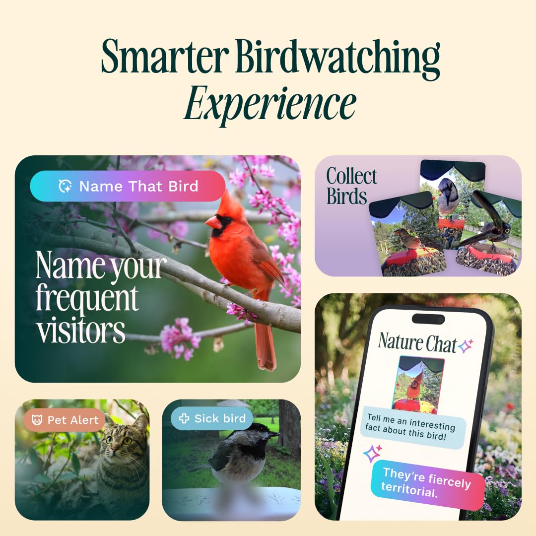 BirdBuddy Pro on-device privacy protects your data during processing.