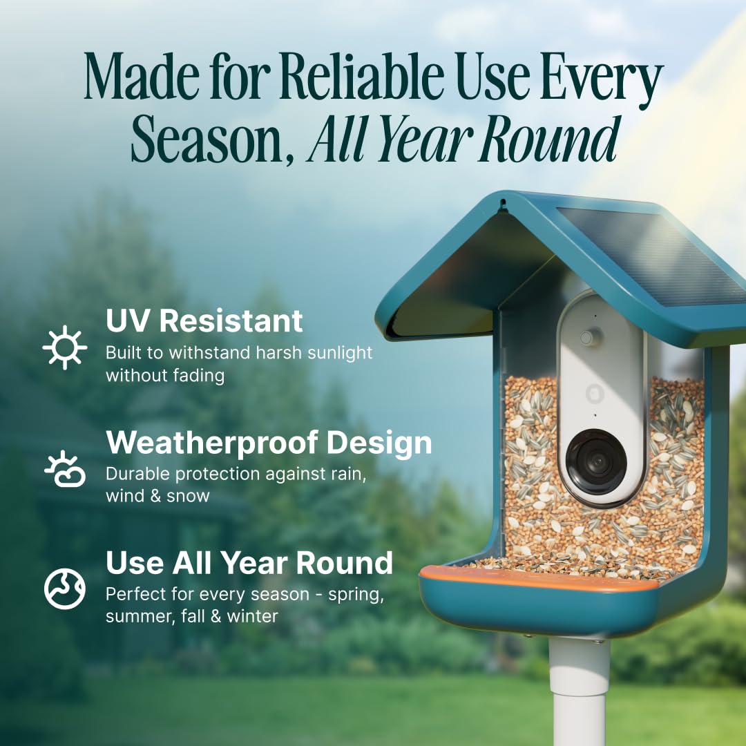 2K video offering immersive footage of birds in action
