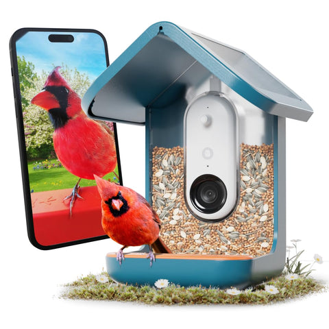 BirdBuddy Pro Solar feeder front view enabling AI species identification