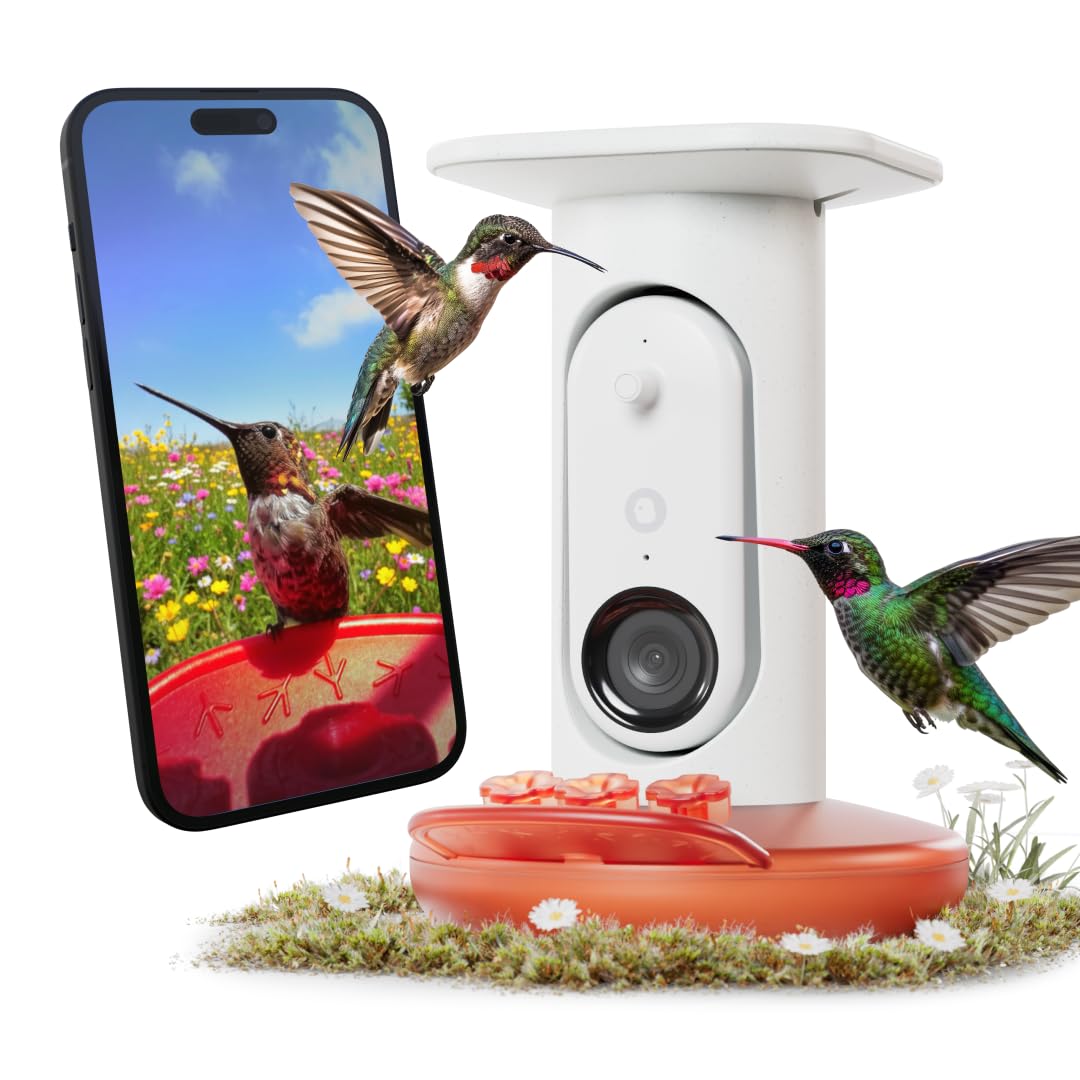 Birdbuddy Smart Hummingbird Feeder camera front view showing AI species ID