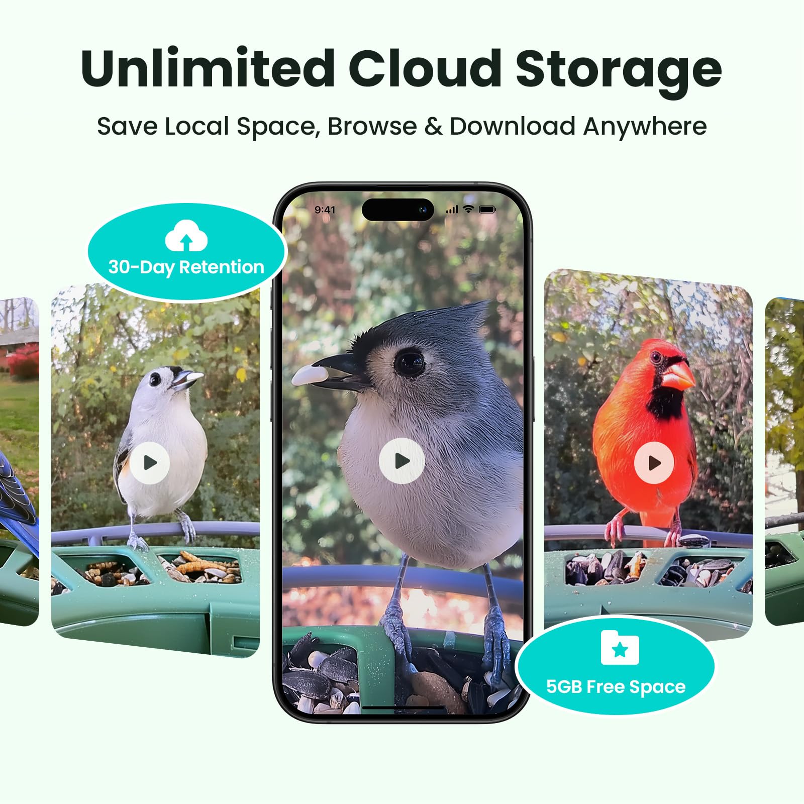 Birdfy 2 AI species identification displayed on screen