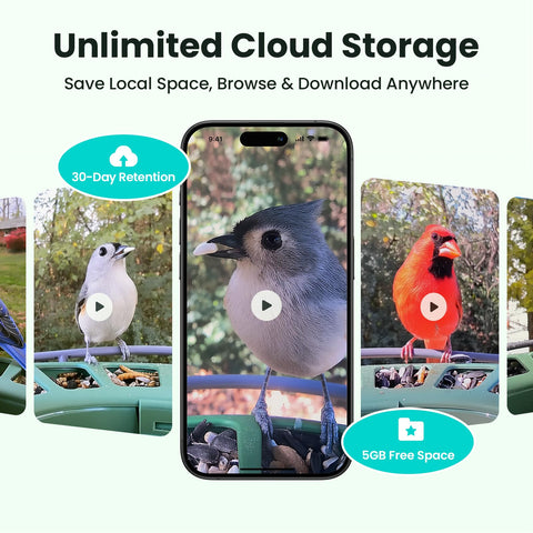 Birdfy 2 AI species identification displayed on screen