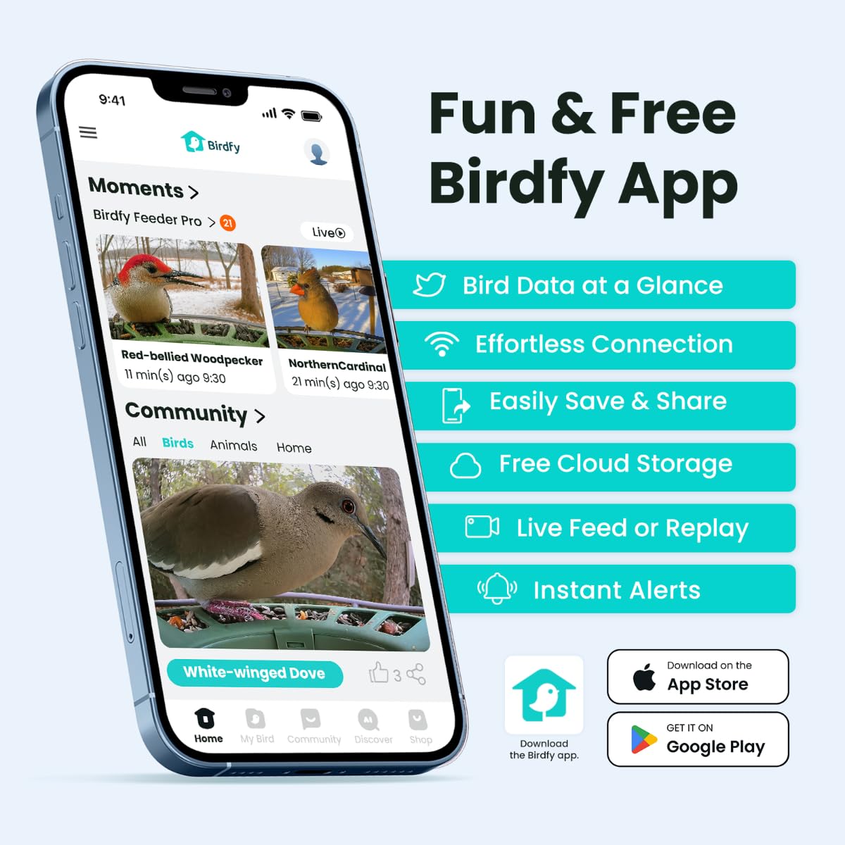 Birdfy 2 cloud storage with weekly recap visuals
